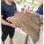 CÁ ĐUỐI KHỦNG MÊKONG SIZE 150 - 200KG/CON (XẺ PHẦN, THANH DÌA 2-3 KG/THANH)