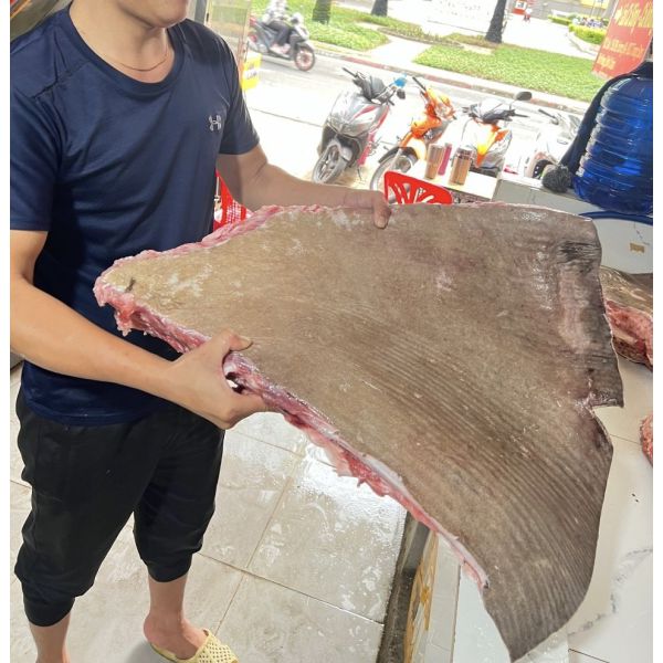 CÁ ĐUỐI KHỦNG MÊKONG SIZE 150 - 200KG/CON (XẺ PHẦN, THANH DÌA 2-3 KG/THANH)