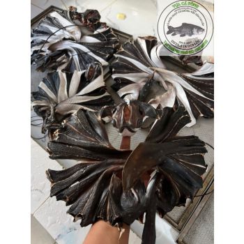 KHÔ CÁ HẮC CẤY 3 NẮNG (400 - 700G/CON)