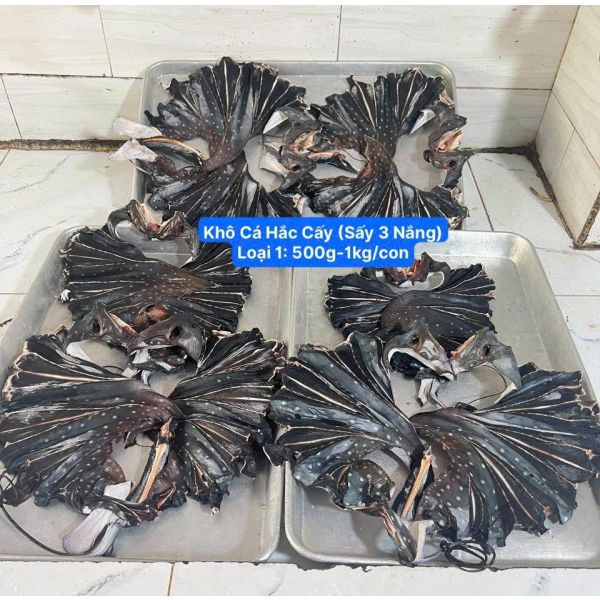KHÔ CÁ HẮC CẤY 3 NẮNG (500G - 1KG/CON)