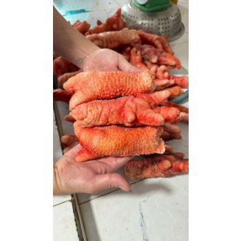 CHÂN GÀ ĐÔNG TẢO (5-6 CHÂN/KG)